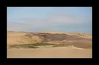 1359 - Deserto